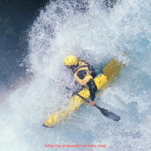 JRS低调看球-法甲联赛中各支球队的主场球场分别叫什么名字?(法甲 球队)