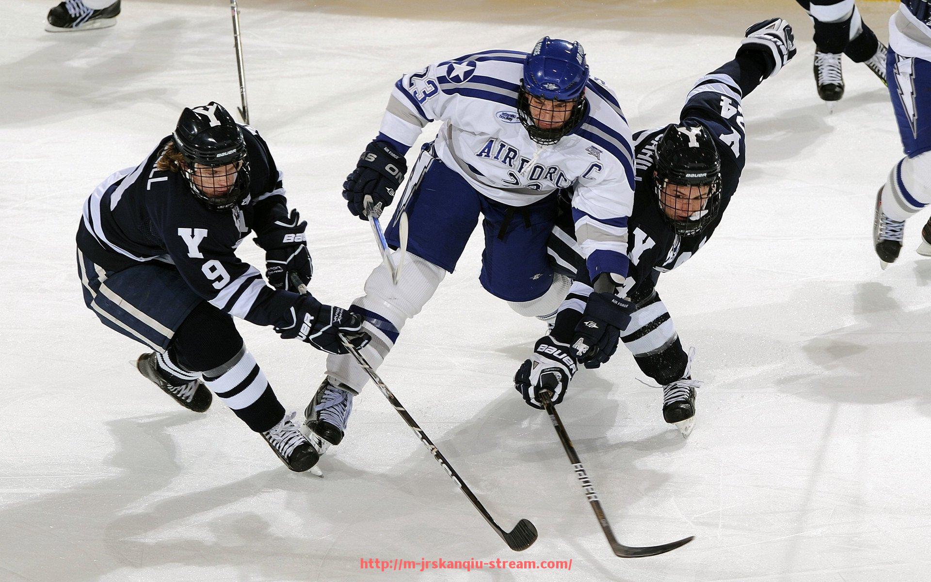 JRS低调看球-2011年英超球员工资水平与收入结构剖析